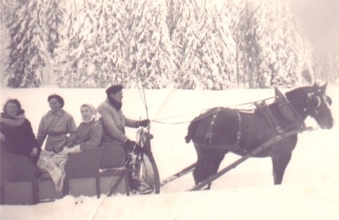 Traineau quip de lugeons pour l'hiver