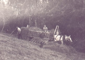 Char Echelle ou  foin de Megeve